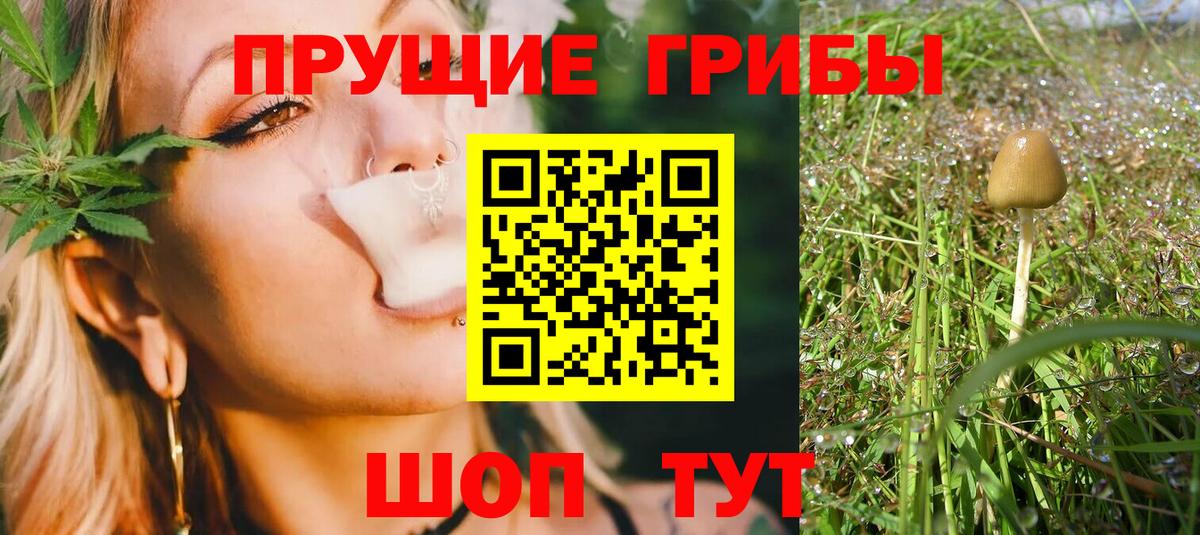 Беслан  Галлюциногенные грибы прущие грибы  Вход с VPN 